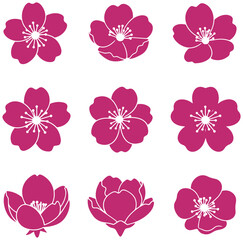 Fototapeta premium Vibrant pink cherry blossoms and lotus flowers in elegant floral arrangement