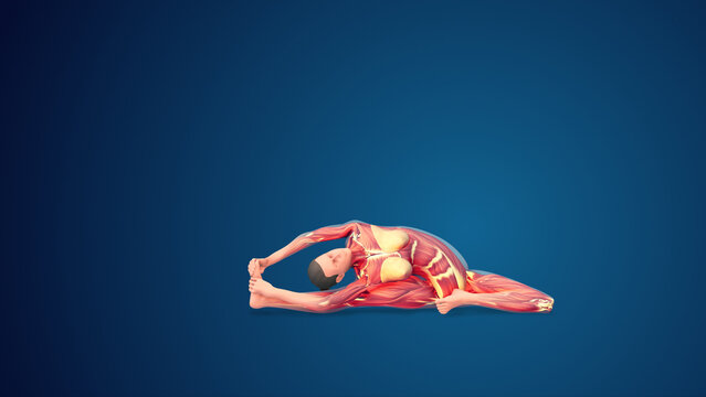 3D human Parivrtta Janu Sirsasana or Revolved Head-to-Knee pose on blue background