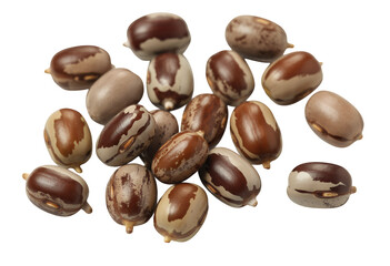 Obraz premium Brown and white seeds brown seeds isolated isolated on a transparent background