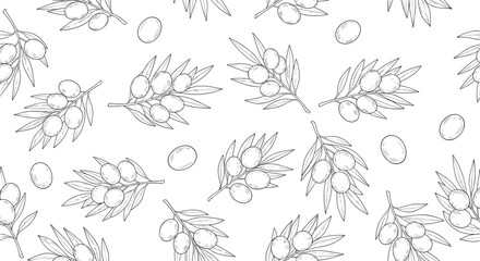 Fototapeta premium Seamless pattern depicts graceful olive branches with ripe olives and delicate leaves in a classic line art style.