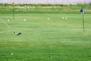 Obraz premium Golf Balls on Putting Green with Club for Sports Training