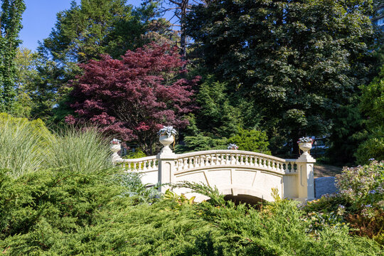 Decorative garden bridge in Halifax Public Gardens Nova Scotia Canada surrounded by lush greenery and trees creating a peaceful landscaped scene in the summer season
