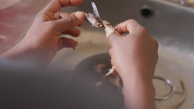 Hands cleaning fish over sink showing closeup scales, slow methodical motion of unspecified home cook preparing fresh seafood for family meal wet metal sink, bowl with water, suds on fingers, tactile