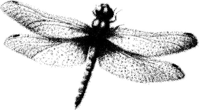 Dragonfly insect with outstretched wings in a flat black vector illustration. Simple design of a biological creature isolated on a transparent background.