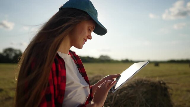 Young female farmer focuses on tablet in hay field with bright sunset. Woman farmer concentrates on digital device. Agricultural worker focuses intently. Woman reviews data in hay field.