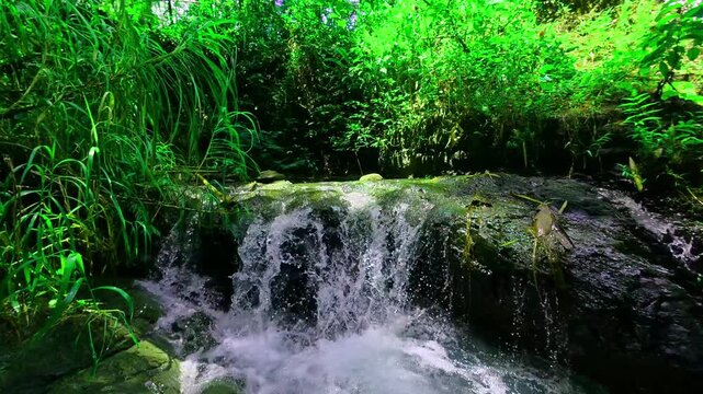 Refreshing small waterfall in the heart of a vivid green rainforest