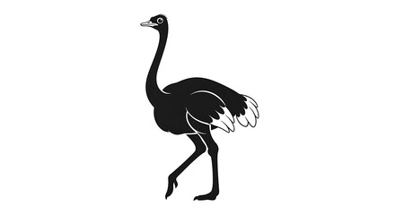 Fototapeta premium A silhouette illustration of a black ostrich walking on a plain white background, capturing its distinctive long neck and legs