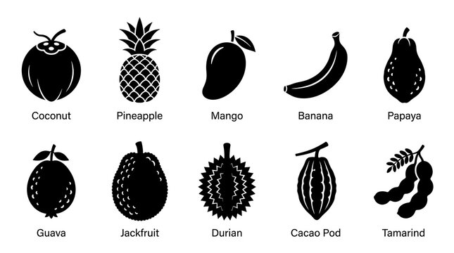 Tropical fruit icons on white.