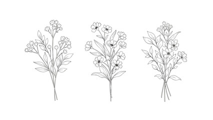 Obraz premium Set of three hand drawn wildflower bouquets in delicate black and white line art style on white background.