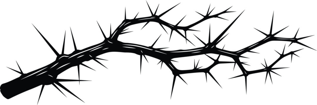 Thorn Branch Spikes Christian Crown of Thorns Illustration on White Background