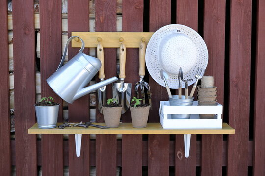 On the outside plank wall of firewood shed are hanging a shelf and a hanger with set of seedlings, pots, watering can, crate, old iron shears, keys and various gardening tools and supplies.