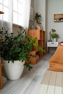 Interior of bedroom with green plants and shelf unit