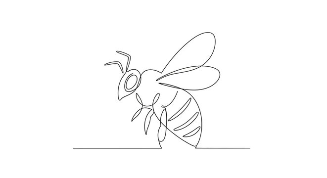 Minimalist Bee Line Art Drawing - Single Continuous Line Insect Illustration