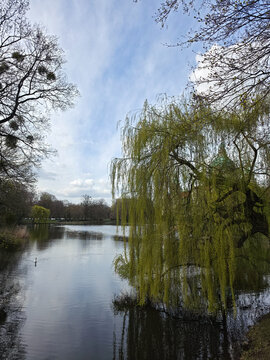 Peaceful willow shadows cast over tranquil water and cloudy sky Maschpark Hanover