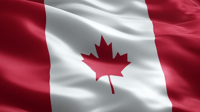 Canada Flag Seamless Loop Animation with Maple Leaf, Realistic Waving Cloth