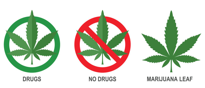 No drugs marijuana leaf sign leaves plant. Marijuana leaf icon green leaf. No smoking Forbidden weed, drugs marijuana leaf. Red circular prohibition symbol. Vector illustration.