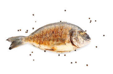 Fototapeta premium Grilled whole fish with black pepper isolated on white background, roasted seafood meal closeup, cooked sea bream with crispy skin