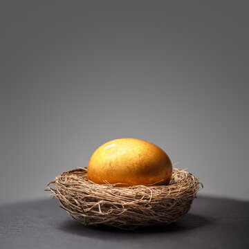 Golden nest egg pension or retirement savings