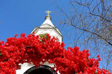 Bell tower of Orthodox temple with golden cross decorated for Easter with flowers, bottom view. Celebration of Easter in Russia