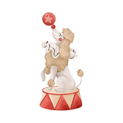 Circus poodle performing trick, watercolor isolated clipart. Cute animal character for kids design, posters, branding and nostalgic carnival design © Eva Gentle
