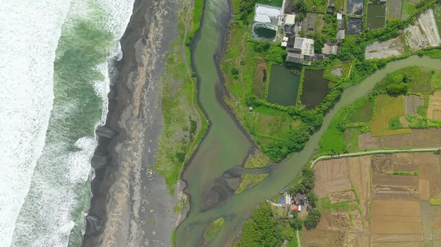 Aerial view of the Opak River meeting the sea, contrasting the green riverbanks with the dark sand and foamy waves, Downstream of the Opak River, Bantul Regency, Indonesia.