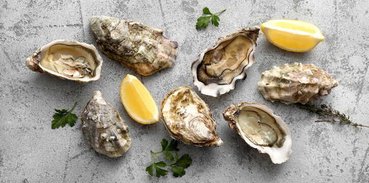 Delicious fresh oysters with parsley, thyme and lemon on grey background