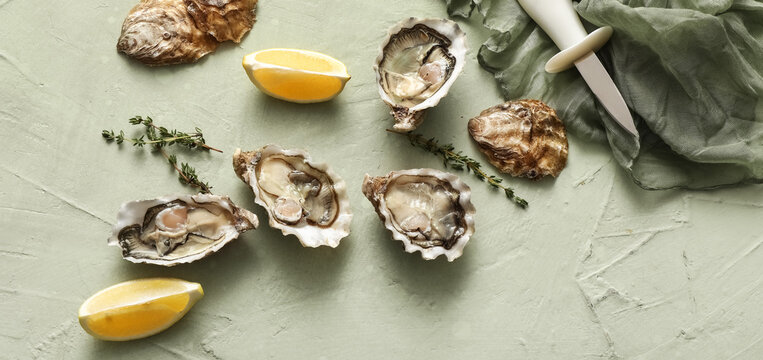 Delicious fresh oysters with lemon and thyme on green background