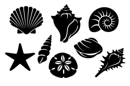 Exquisite collection of diverse marine life silhouettes: featuring elegant seashells including scallop, conch, nautilus, murex, tower, and clam, alongside a classic starfish and unique sand dollar, pe