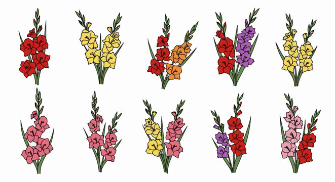 Ten bouquets of gladiolus flowers in various vibrant colors and arrangements
