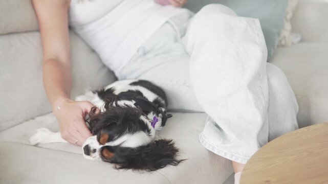 Young woman gently petting her Cavalier King Charles Spaniel while relaxing on a sofa at home
