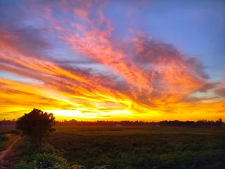Dramatic Fiery Sunset Over Rural Field with Vibrant Cloudscape © MunnaxAm