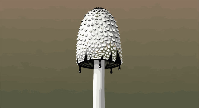 Detailed illustration of a shaggy ink cap mushroom with droplets falling