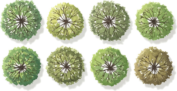Top view tree set for architectural site plans, green landscape plant collection in 8 variations, overhead garden vegetation vector icons