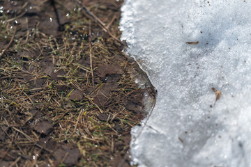 Fototapeta premium Texture of mineral pieces contrasts with clear frozen ice edge. Closeup view of gritty mineral particles scattered at melting icy boundary showing textures and translucence