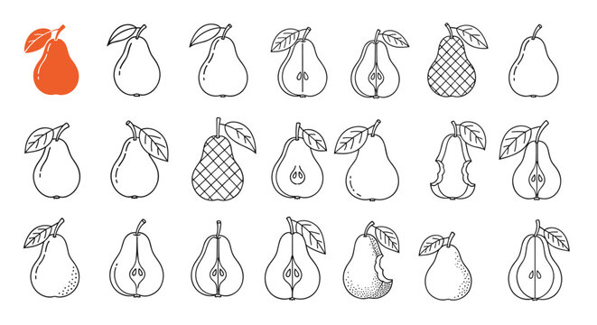 Pear fruit icons in multiple outline and pattern styles display whole and cut versions for healthy food and organic farm branding.