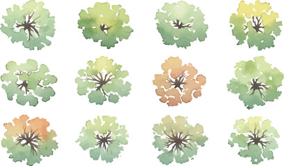 Watercolor architectural tree symbols for landscape design, set of 12 top view garden plants, green and orange foliage plan icons for site mapping © Allah k hwaly