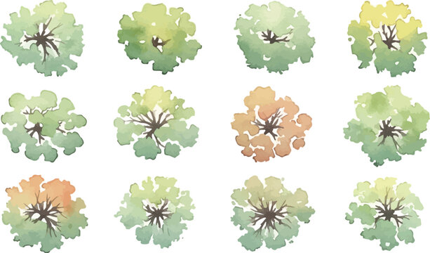 Watercolor architectural tree symbols for landscape design, set of 12 top view garden plants, green and orange foliage plan icons for site mapping