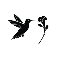 Fototapeta premium Graceful hummingbird feeding on delicate flower in mid-flight
