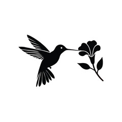 Fototapeta premium Graceful hummingbird feeding on delicate flowers in flight