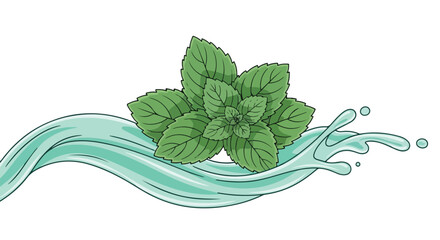 Fresh green mint leaves with water splash, peppermint herb on liquid wave, organic mentha plant illustration for beverage and dental packaging © rani