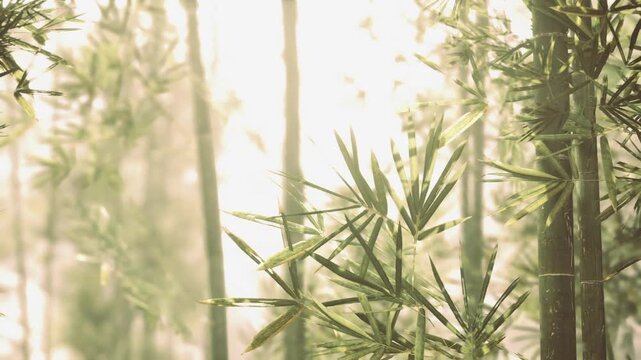 Backlit bamboo stalks with warm glow, closeup leaves and stems with golden bokeh, shallow depth of field highlighting texture and silhouette, delicate sunflare