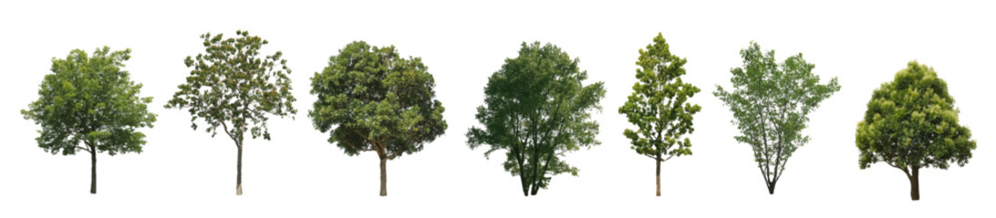 Fototapeta premium Front View Vector Icons of Trees and Plants for Floor Plan and Architectural Design Projects 