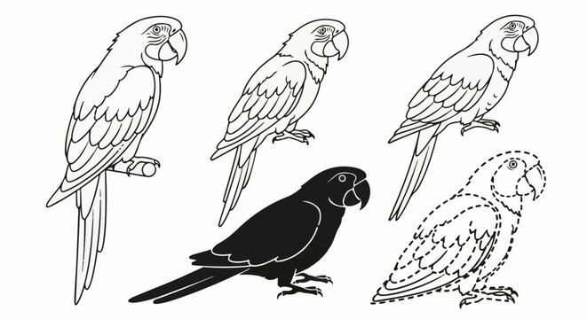 Five parrots in various outlines perched, solid silhouette, and dotted lines