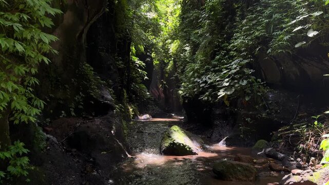 Tukad Cepung Canyon Bali Indonesia