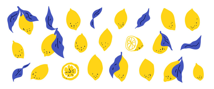 Doodle lemon illustrations with Italian Mediterranean charm. Hand drawn naive doodle fruit doodles featuring slices, branches in blue yellow tones. Vector lemons scribble hand drawn isolated no bg.
