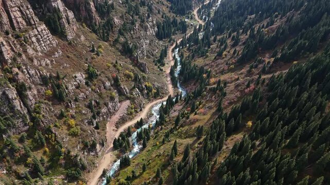 Karakol River in Alpine Forest Valley Kyrgyzstan Drone View