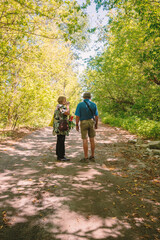 Obraz premium Senior Couple Enjoying a Peaceful Walk Along a Sun-Dappled Forest Path in Summer