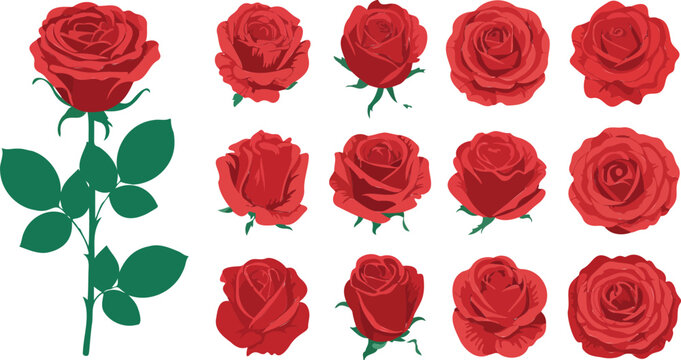 Minimalist hand-drawn inspired red rose collection with single stem and grid of twelve identical blooming flowers decorative vector layout