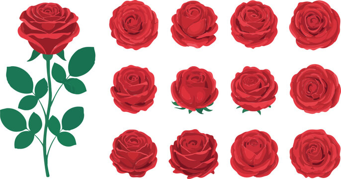 Minimalist hand-drawn inspired red rose collection with single stem and grid of twelve identical blooming flowers decorative vector layout