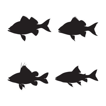 Silhouette of Archer Fish isolated on white background, vector illustration